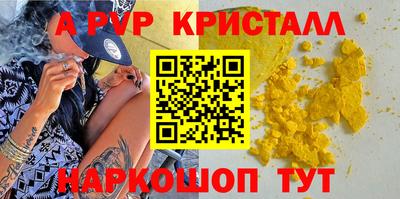 СК Камышлов