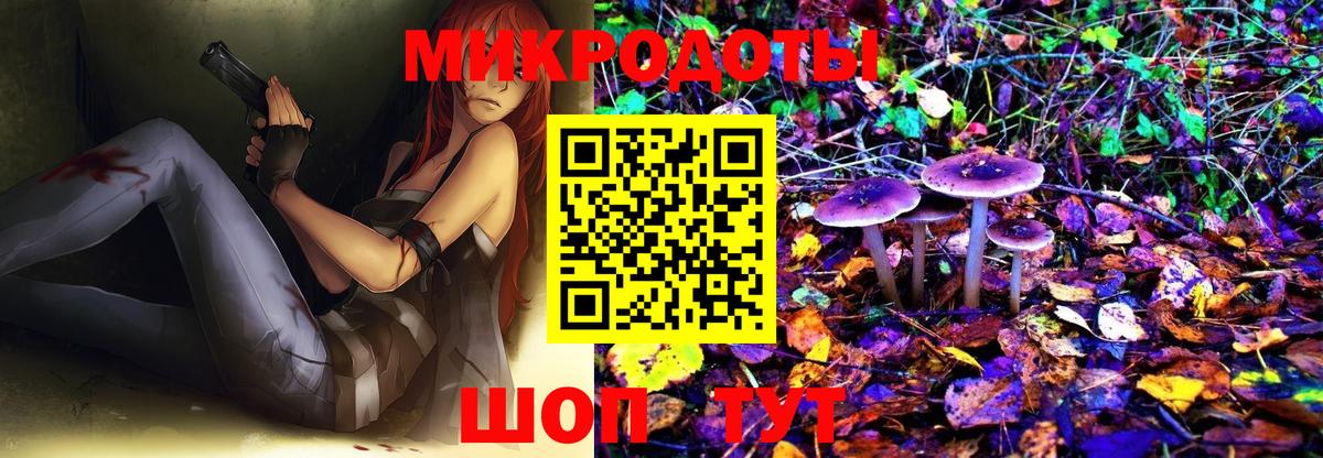 Псилоцибиновые грибы Psilocybe  Вход с VPN  Галлюциногенные грибы Psilocybe  Янаул 