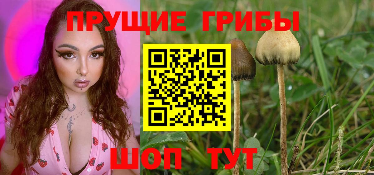 Псилоцибиновые грибы мухоморы Янаул